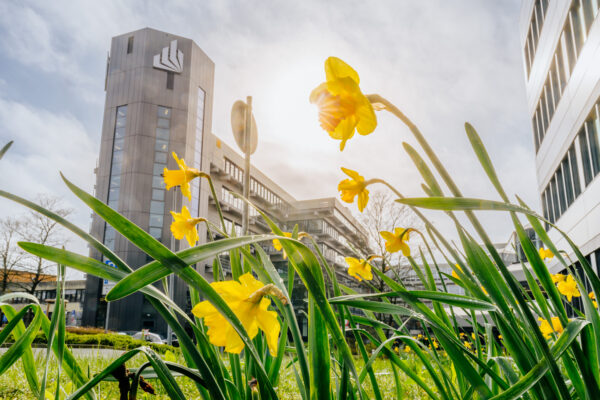 Frühling an der Uni Paderborn +++ Foto: Besim Mazhiqi